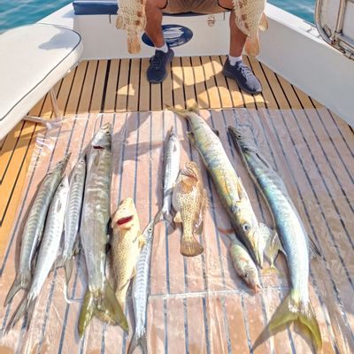 Deep Sea Fishing 4 /6 hrs Customisable