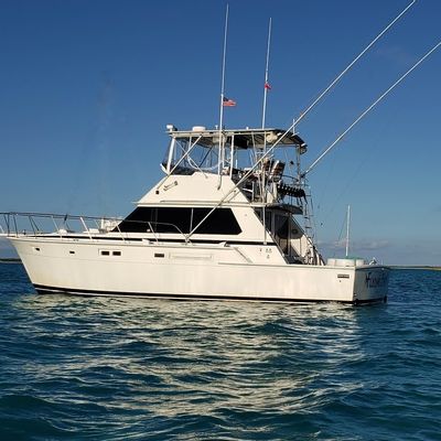 Bonaire Sport Fishing Adventures