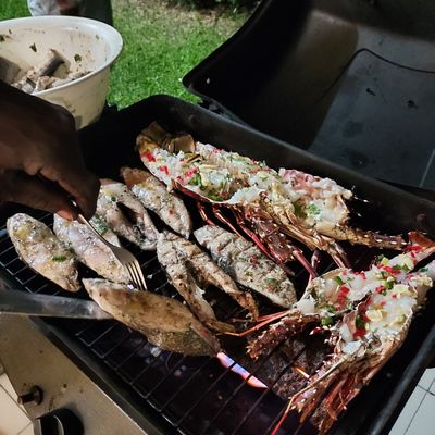 Fishing Tour in Tobago