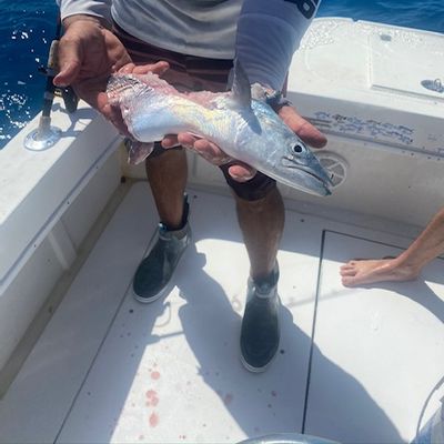 Guide on Your Boat