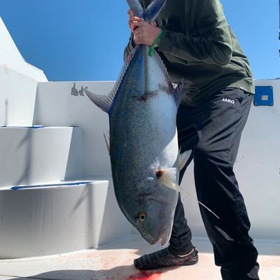 Hottuna Hurghada 24FT