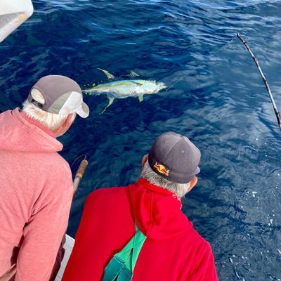 Charter Fishing - Simon's Town