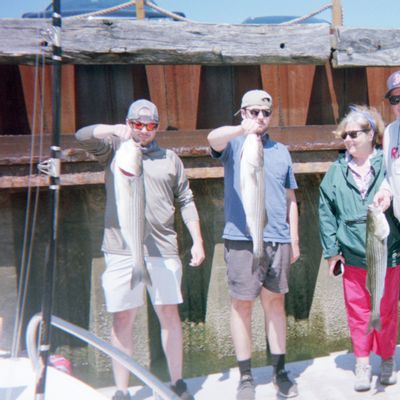Tiggertoo Charters