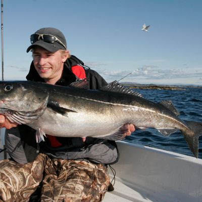 Stay at Fisherman’s Paradise