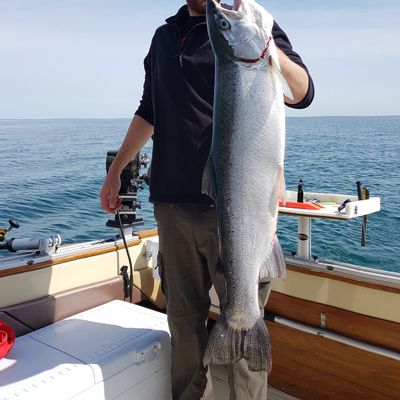 Lake Ontario Salmon and Trout