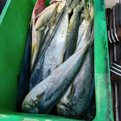 Fishing Tour in Tobago
