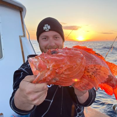 Balearic Fishing Charter