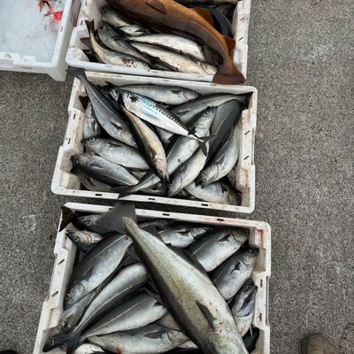 Stay at Fisherman’s Paradise