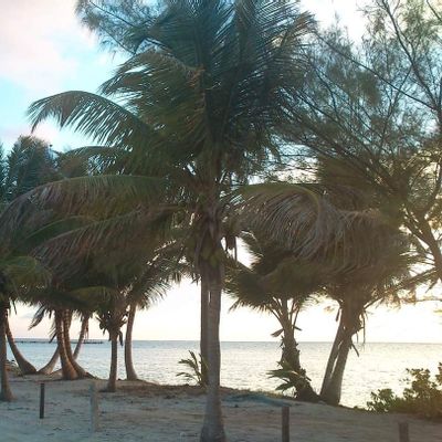 Xcalak Caribe Lodge