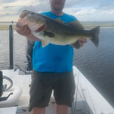 Offshore deep dropping trip 10 hour