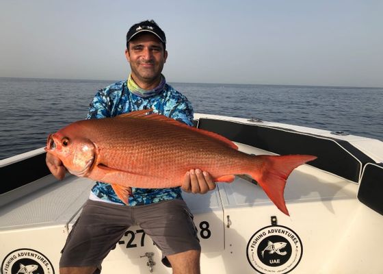 Sea fishing in the Arabian Gulf