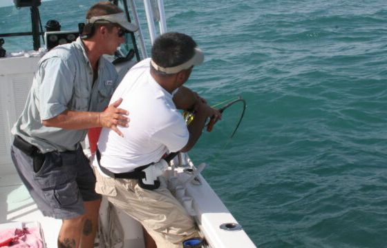 Barracuda Fishing Trips Baityourhook