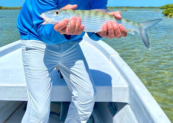 Flats Fishing in Belize