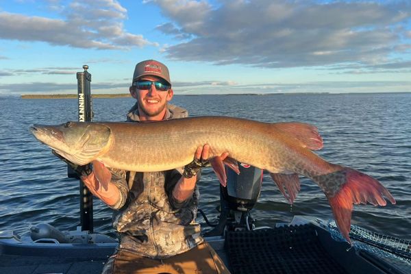 Lake Of the Woods guided fishing