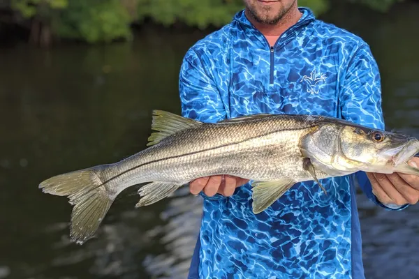 Aquatic Escapes Charters - Tampa Bay