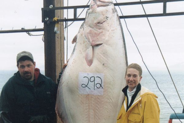 Kenai Peninsula Fishing Charters