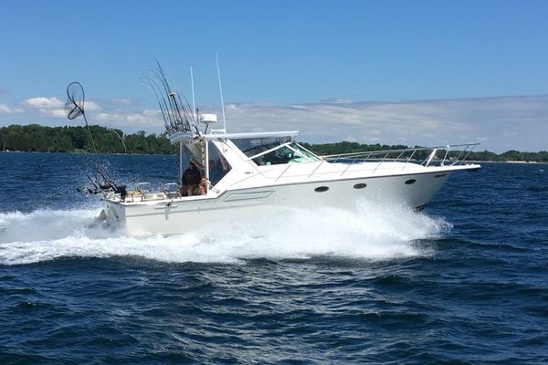 Lake Michigan Salmon and Trout Fishing