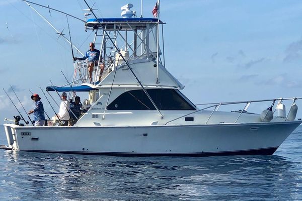 Fishs Cancun Fishing Charter