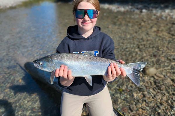 Walk & Wade River Salmon Fishing