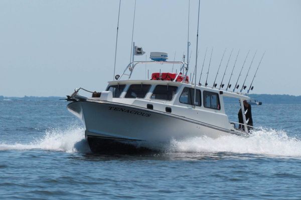 Maryland Chesapeake Bay Charter Fishing