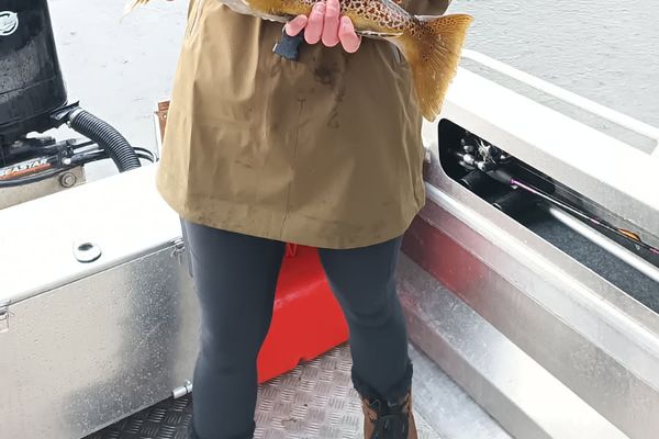 Fiordland South Fiord Fishing