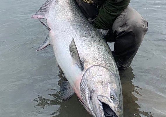 Skeena Wilderness Fishing Charters