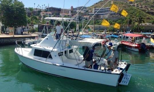 Cabo san lucas fishing Charters