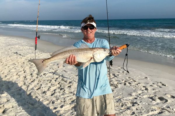 Guided Surf Fishing Trips - Destin, FL