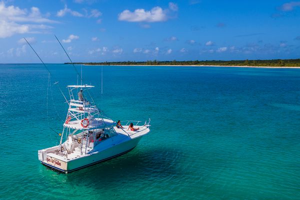 Private Fishing Charter - Luhrs 40'