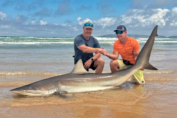Plett Rock & Surf Fishing Experiences