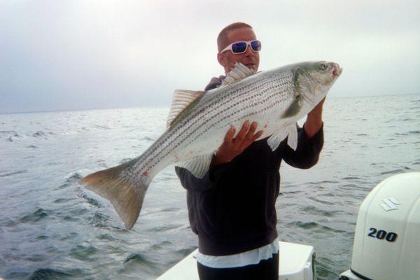 Tiggertoo Charters