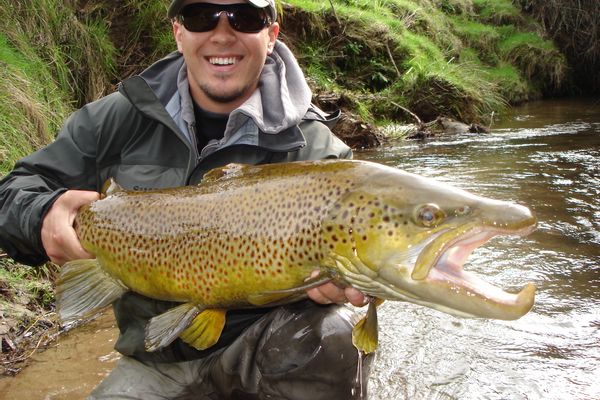 Trophy Trout Guide New Zealand