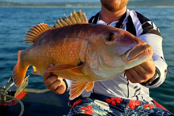 Deep Sea Fishing in Mossel Bay