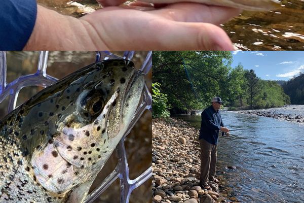 Guided River Fishing Trip