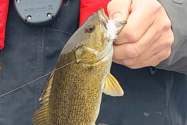 Legendary; Premium Multi-Species Guiding