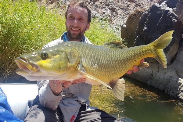 Orange River Yellowfish Safari