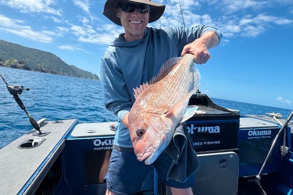 PREMIUM FISHING CHARTER , NZ, NORTHLAND