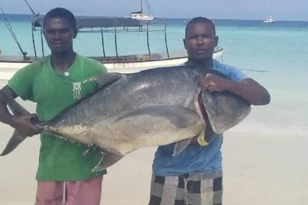 ZANZIBAR - TANZANIA  FIRST FISHING