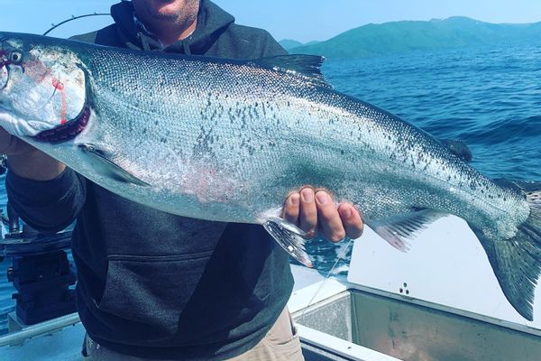 King Salmon Fishing in Larsen Bay, Alaska