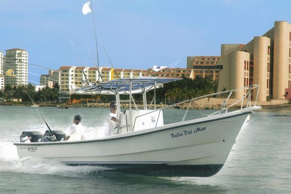 28 ft Super Panga Fishing Charter