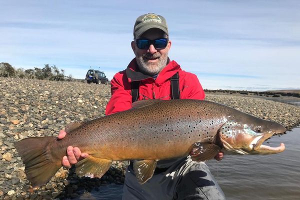 Giant Sea Brown Trout - Rio Grande - Argentina - San Jose Lodge