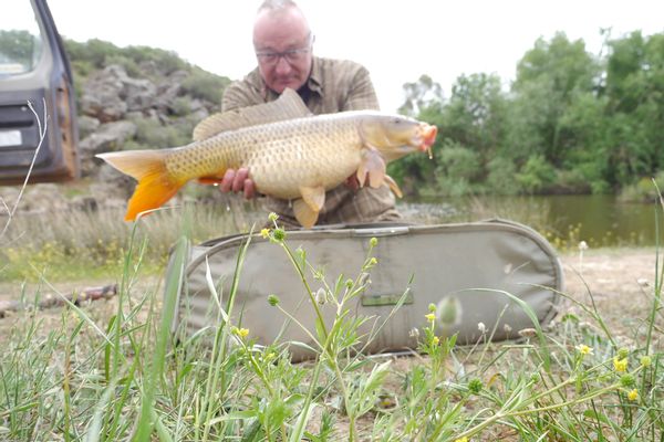 Carp and barbel fishing