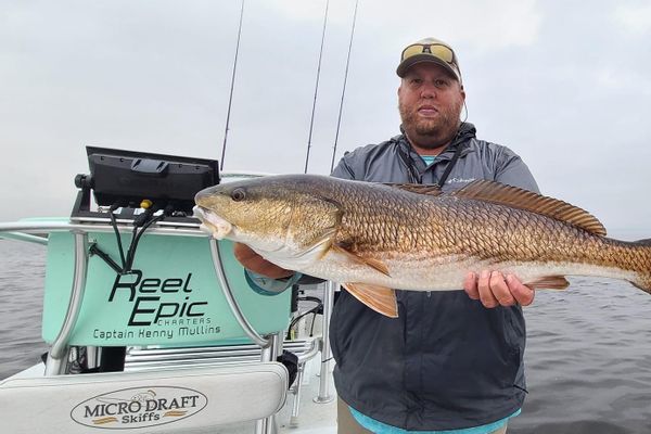 Reel Epic Charters