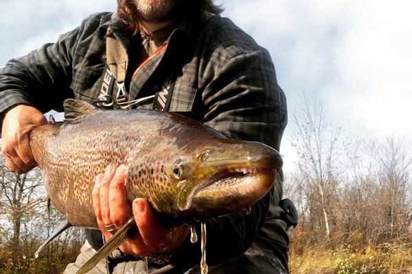 Walk & Wade Fly Fishing on River Philip