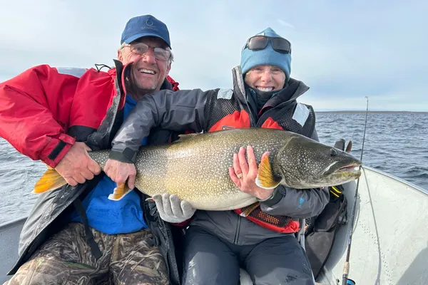 Lake Trout