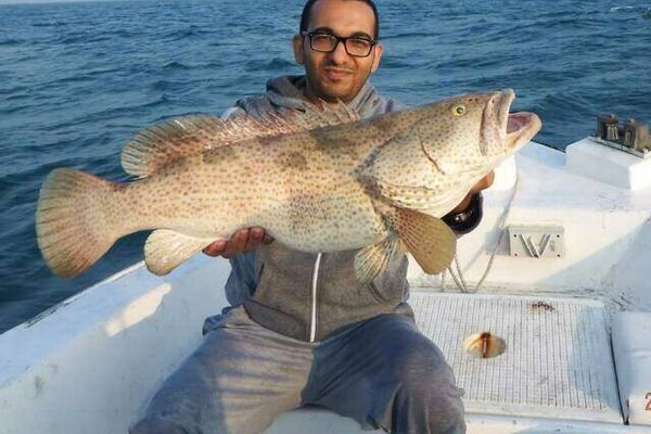 Number1 Fishing in Umm Al Quwain