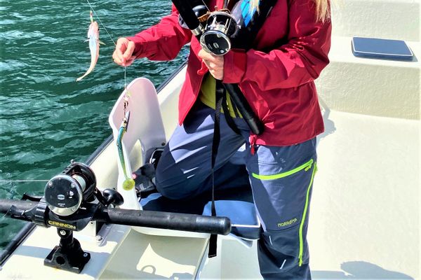 Balestrand Legacy Tour