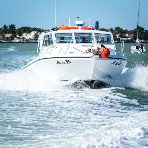 A&B Deep Sea Fishing Charters