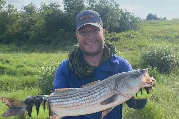 Summer Striper