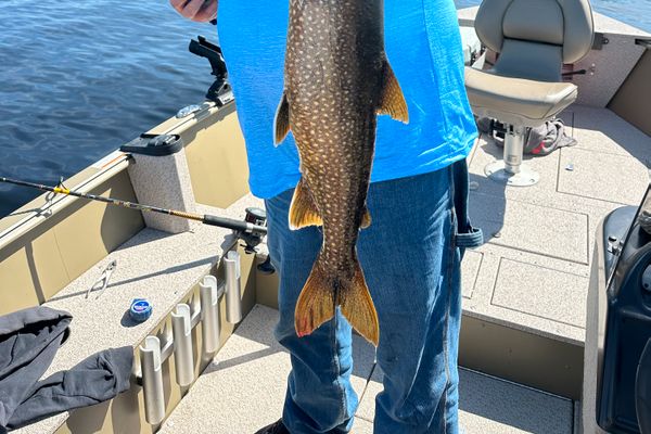 Maine  Trout Fishing